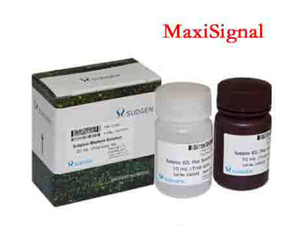 SuperBright MaxiSignal ECL化學(xué)發(fā)光底物試劑盒SUDGEN